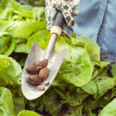 Bestrijdingsmiddelen | GroenRijk Bergambacht