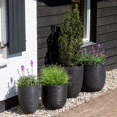 Buitenpotten van GroenRijk Bergambacht