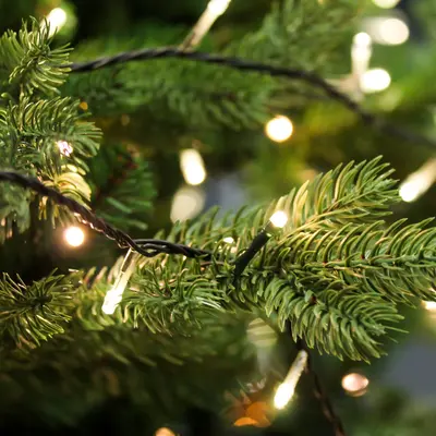 Kerstverlichting en kerstversiering kopen