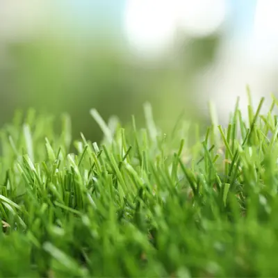 Kunstgras EasyLawn kopen | GroenRijk Bergambacht