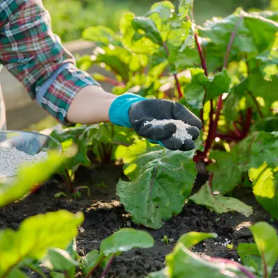 Meststoffen en bestrijdingsmiddelen | GroenRijk Bergambacht