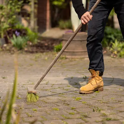 Onkruid en groene aanslag