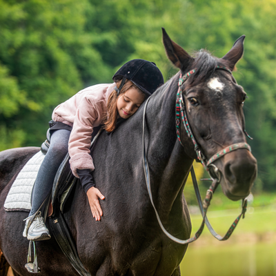 Alles voor uw paard | GroenRijk Bergambacht