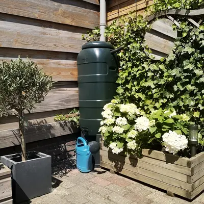 Regenton kopen in Bergambacht? Kom naar GroenRijk!