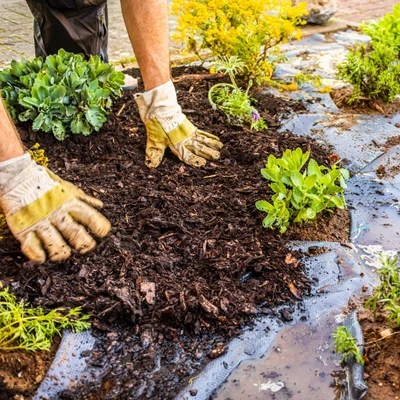 Tuinaanleg | GroenRijk Bergambacht