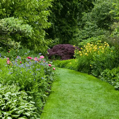 Tuinplanten kopen | GroenRijk Bergambacht