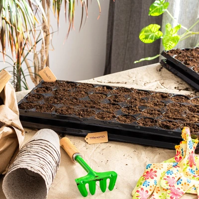 Zaden | Tuincentrum GroenRijk Bergambacht